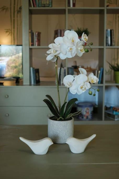 With Garden In Thessaloniki. Apartment *